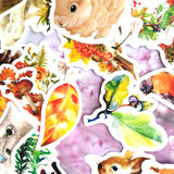 Woodland Critters & Vibrant Foliage 45pc Sticker Set