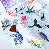 Hawaii SoCal & Nature 50pc Sticker Set
